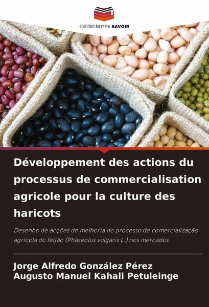 Développement des actions du processus de commercialisation agricole pour la culture des haricots