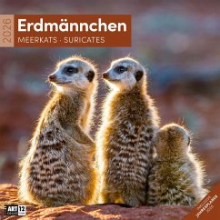 Cover Erdmännchen Broschürenkalender 2026 - 30x30 - Art12