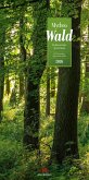 Mythos Wald - Literatur-Kalender 2026 Mythos Wald - Literatur-Kalender 2026