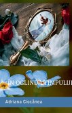 În oglinda timpului În oglinda timpului