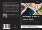 Development of actions in the process of agricultural marketing of beans