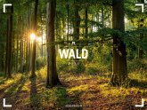 Wald - Ackermann Gallery Kalender 2026 Wald - Ackermann Gallery Kalender 2026