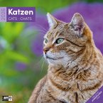 Katzen Broschürenkalender 2026 - 30x30 - Art12