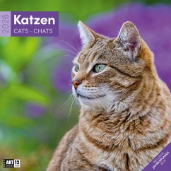 Cover Katzen Broschürenkalender 2026 - 30x30 - Art12