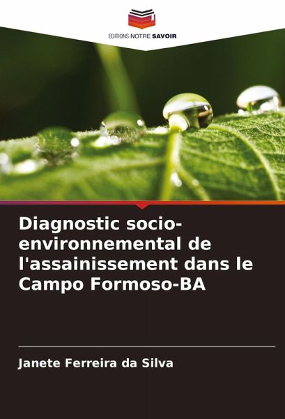 Diagnostic socio-environnemental de l'assainissement dans le Campo Formoso-BA