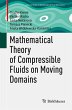 Mathematical Theory of Compressible... - Bild 1