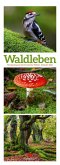 Waldleben Triplet-Kalender 2026 Spaziergang durch heimische Wälder Waldleben Triplet-Kalender 2026 Spaziergang durch heimische Wälder