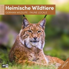 Heimische Wildtiere Kalender 2026 - 30x30 - Ackermann Kunstverlag GmbH