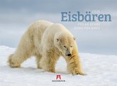 Eisbären Kalender 2026 Eisbären Kalender 2026