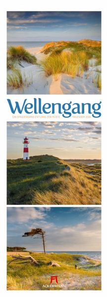 Wellengang Triplet-Kalender 2026 Spaziergang entlang der Küste Wellengang Triplet-Kalender 2026 Spaziergang entlang der Küste