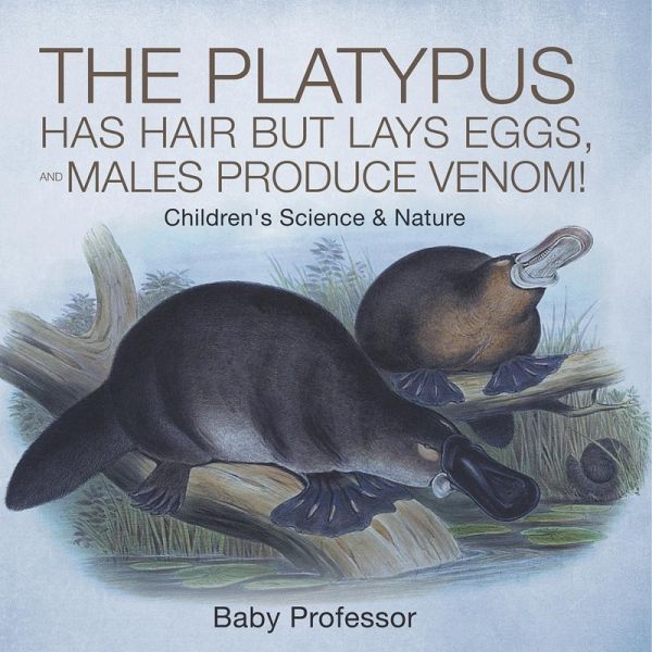 The Platypus Has Hair but Lays Eggs, and Males Produce Venom!   Children's Science & Nature