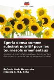 Egeria densa comme substrat nutritif pour les tournesols ornementaux Egeria densa comme substrat nutritif pour les tournesols ornementaux