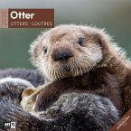 Otter Broschürenkalender 2026 - 30x30 - Art12