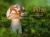 Pilze Kalender 2026 Vielfalt am Waldboden Pilze Kalender 2026 Vielfalt am Waldboden