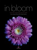 in bloom Kalender 2026 in bloom Kalender 2026