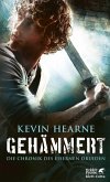 Gehämmert (eBook, ePUB) Gehämmert (eBook, ePUB)