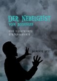 Der Nebelgeist vom Bodensee (eBook, ePUB)