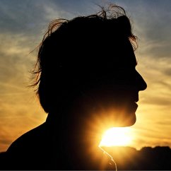 Cover Il N'Est Jamais Trop Tard (Lp)