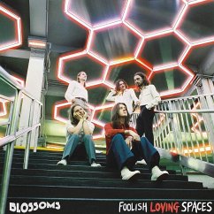 Cover Foolish Loving Spaces (Vinyl)