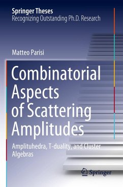 Combinatorial Aspects of Scattering Amplitudes - Parisi, Matteo