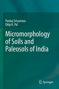 Cover Micromorphology of Soils and Paleosols of India