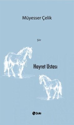Cover Hayret Ustasi