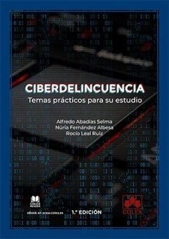 Cover Ciberdelincuencia: temas prácticos para su estudio