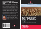Diversidade genética para a resistência à mosca do rebento no sorgo