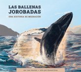 Las Ballenas Jorobadas Las Ballenas Jorobadas