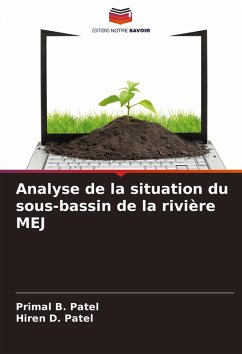 Cover Analyse de la situation du sous-bassin de la rivière MEJ