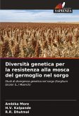 Diversità genetica per la resistenza alla mosca del germoglio nel sorgo