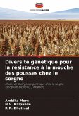 Diversité génétique pour la résistance à la mouche des pousses chez le sorgho Diversité génétique pour la résistance à la mouche des pousses chez le sorgho