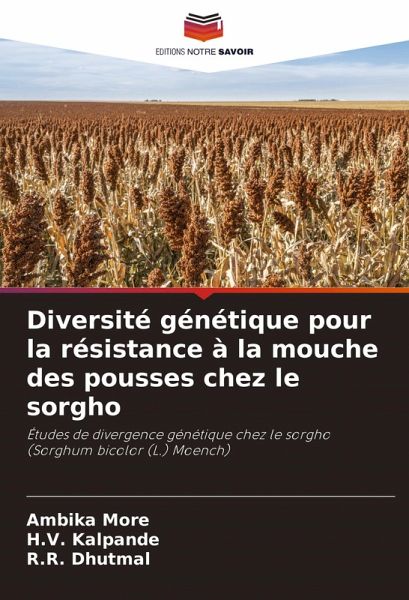 Diversité génétique pour la résistance à la mouche des pousses chez le sorgho