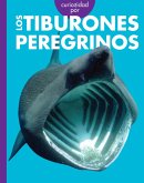 Curiosidad Por Los Tiburones Peregrinos