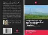 Comparativo da rega gota-a-gota superficial, subsuperficial e "Kapillary" Comparativo da rega gota-a-gota superficial, subsuperficial e "Kapillary"