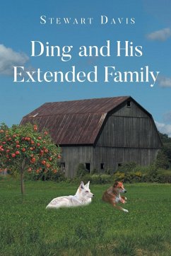 Ding and His Extended Family - Davis, Stewart
