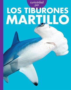 Cover Curiosidad Por Los Tiburones Martillo