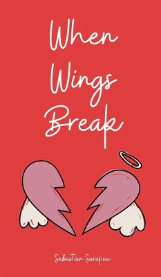 Cover When Wings Break