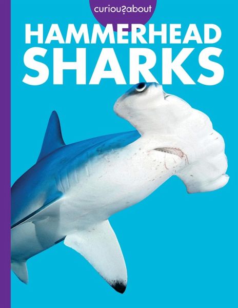 Curious about Hammerhead Sharks Curious about Hammerhead Sharks