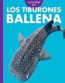 Curiosidad Por Los Tiburones Ballena