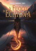 Il fuoco di Echidna (eBook, ePUB)