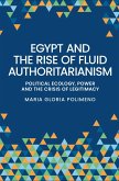Egypt and the rise of fluid authoritarianism (eBook, ePUB)