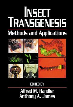 Cover Insect Transgenesis (eBook, ePUB)