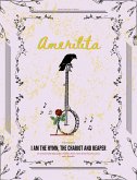 Amerilita (The Lunar Punk) (eBook, ePUB)