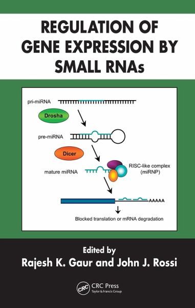 Regulation of Gene Expression by Small RNAs (eBook, ePUB)