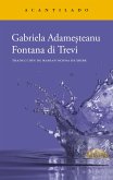 Fontana di Trevi (eBook, ePUB)