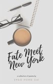 Fate Meet New York (eBook, ePUB)
