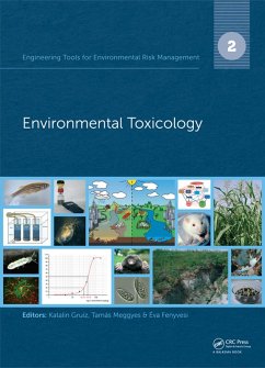 Engineering Tools for Environmental Risk Management (eBook, ePUB)