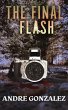 The Final Flash (eBook, ePUB) - Bild 1