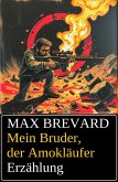 Mein Bruder, der Amokläufer: Erzählung (eBook, ePUB)